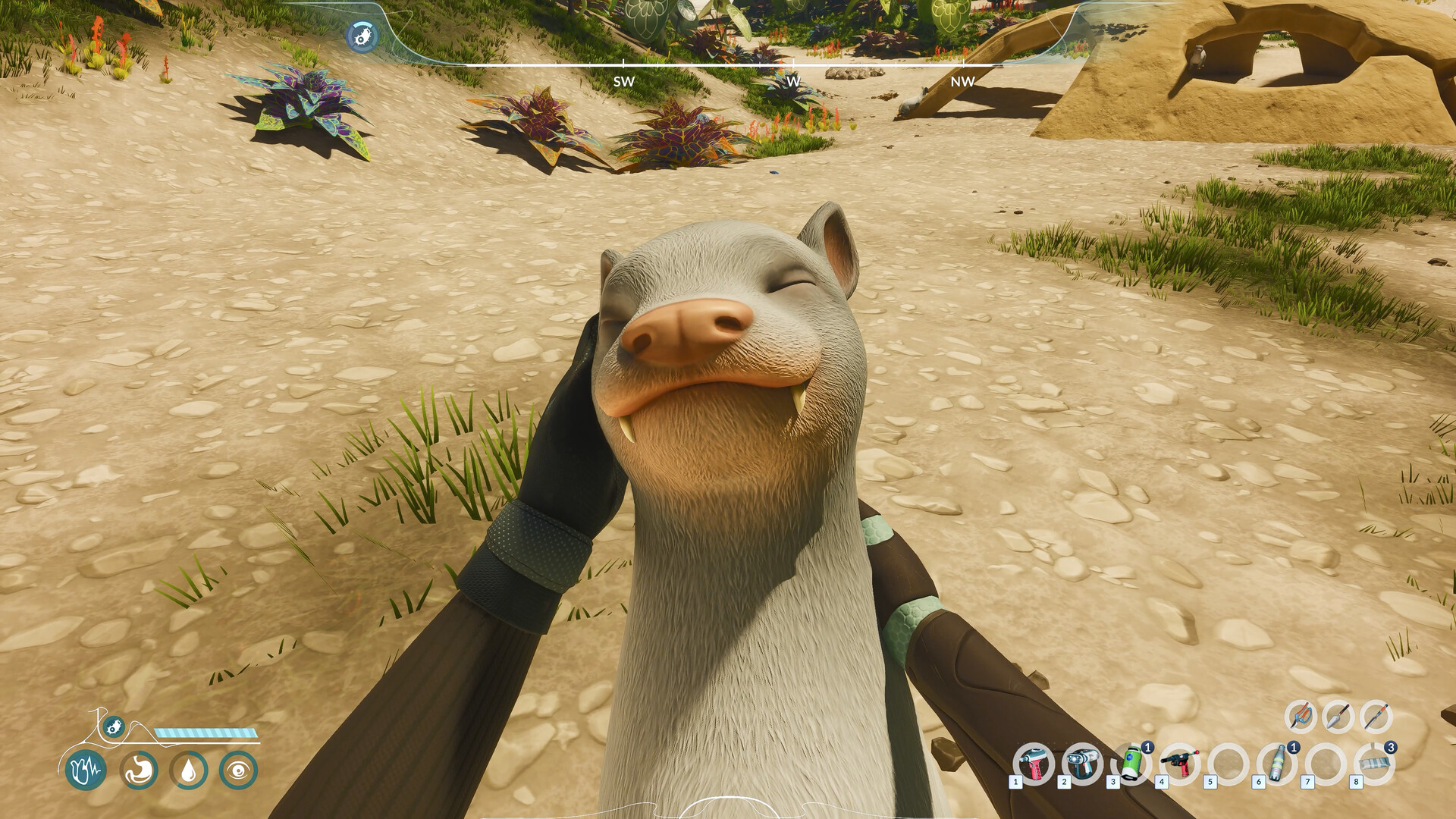 Petting docile alien creature — Sota7 fauna interaction — Honeycomb: The World Beyond